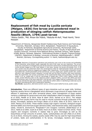 AACL Bioflux, 2022, Volume 15, Issue 6.
http://www.bioflux.com.ro/aacl
3220
Replacement of fish meal by Lucilia sericata
(Meigen, 1826) live larvae and powdered meal in
production of stinging catfish Heteropneustes
fossilis (Bloch, 1794) post-larvae
1Abdus Satter, 2Md. Ahsan Bin Habib, 3Abdulla-Al-Asif, 3Hadi Hamli, 4Amir
Hossain
1
Department of Fisheries, Bangamata Sheikh Fojilatunnesa Mujib Science and Technology
University, Melandah, Jamalpur-2012, Bangladesh; 2
Department of Aquaculture,
Faculty of Fisheries, Bangladesh Agricultural University, Mymensingh-2202,
Bangladesh; 3
Department of Animal Science and Fishery, Faculty of Agricultural and
Forestry Sciences, Universiti Putra Malaysia Bintulu Sarawak Campus, Jalan Nyabau
97008, Bintulu, Sarawak, Malaysia; 4
International Studies in Aquatic Tropical Ecology
(ISATEC), Department of Biology, University of Bremen, Bibliothekstraße 1, 28359
Bremen, Germany. Corresponding author: H. Hamli, hadihamli@upm.edu.my
Abstract. Reduction of aquaculture operations and production cost is key to the success and profitability
of this enterprise, while protein needs, especially the cost of fish meal, are cery expensive. The current
study was conducted to investigate the post-larval production performance of Heteropneustes fossilis using
Lucilia sericata maggot as a fish meal replacer in two ways, namely, live larvae and powder form. A 28
days growth trial was performed where five isonitrogenous diets for Heteropneustes fossilis post-larvae
were experimented using live maggots and maggot meal, respectively. The proximate composition of each
formulated diet, growth parameters of fish post-larvae, such as, weight gain, specific growth rate, protein
efficiency ratio, apparent protein utilization, survival rate and the food conversion ratio were examined.
After the experiment, the carcass composition of the experimental fishes were evaluated. The best final
weight (1.61 g), weight gain (1.418 g), percentage of weight gain (739±1.18%), specific growth rate
(2.63), protein efficiency ratio (2.29), apparent protein utilization (85%), survival rate (90%) and lower
food conversion ratio (2.06) were observed in fish fed with 75% maggot meal as a substitute of fish meal.
This study will help the aquaculture industry, especially the catfish culture in identifying an alternate source
of protein and lowering the cost of aquaculture operation.
Key Words: aquaculture, alternative protein source, common green bottle fly larvae, poultry waste.
Introduction. There are different types of agro-industries such as sugar mills, fertilizer
factories, poultry farms in Bangladesh which discharge a huge amount of waste matter and
effluent in waterways and other terrestrial places, while management of these wastes
remains a challenge for government and other stakeholders (Alam & Hossain 2009; Ayilara
et al 2020; Modak et al 2019; Reza & Islam 2019; Samad et al 2011). The wastes
discharged from poultry farms may be used to recycle nutrients through production of fly
larvae, microalgae, bacteria and fungus (Boaru et al 2018; Glatz et al 2011; Gold et al
2020; Markou et al 2018). These wastes contain high organic nutrients, biological oxygen
demand (BOD) and chemical oxygen demand (COD), total dissolved solids, total suspended
solids, nitrate-N, Ammonia-N, Phosphate-P and inorganic nutrients (Abdel-Raouf et al
2012; Habib et al 2005; Izzah et al 2020; Kwon et al 2020; Yaseen & Scholz 2019). These
organic and inorganic nutrients in wastes help to grow microalgae as well as the
biosynthesis of high amounts of protein, lipids, carbohydrates and ash (Melo et al 2018;
Su et al 2022). Among the wastes, poultry waste (PW) may be used for high biosynthesis
of protein, lipids and carbohydrates in fly larvae, microalgae, bacteria and fungus
 