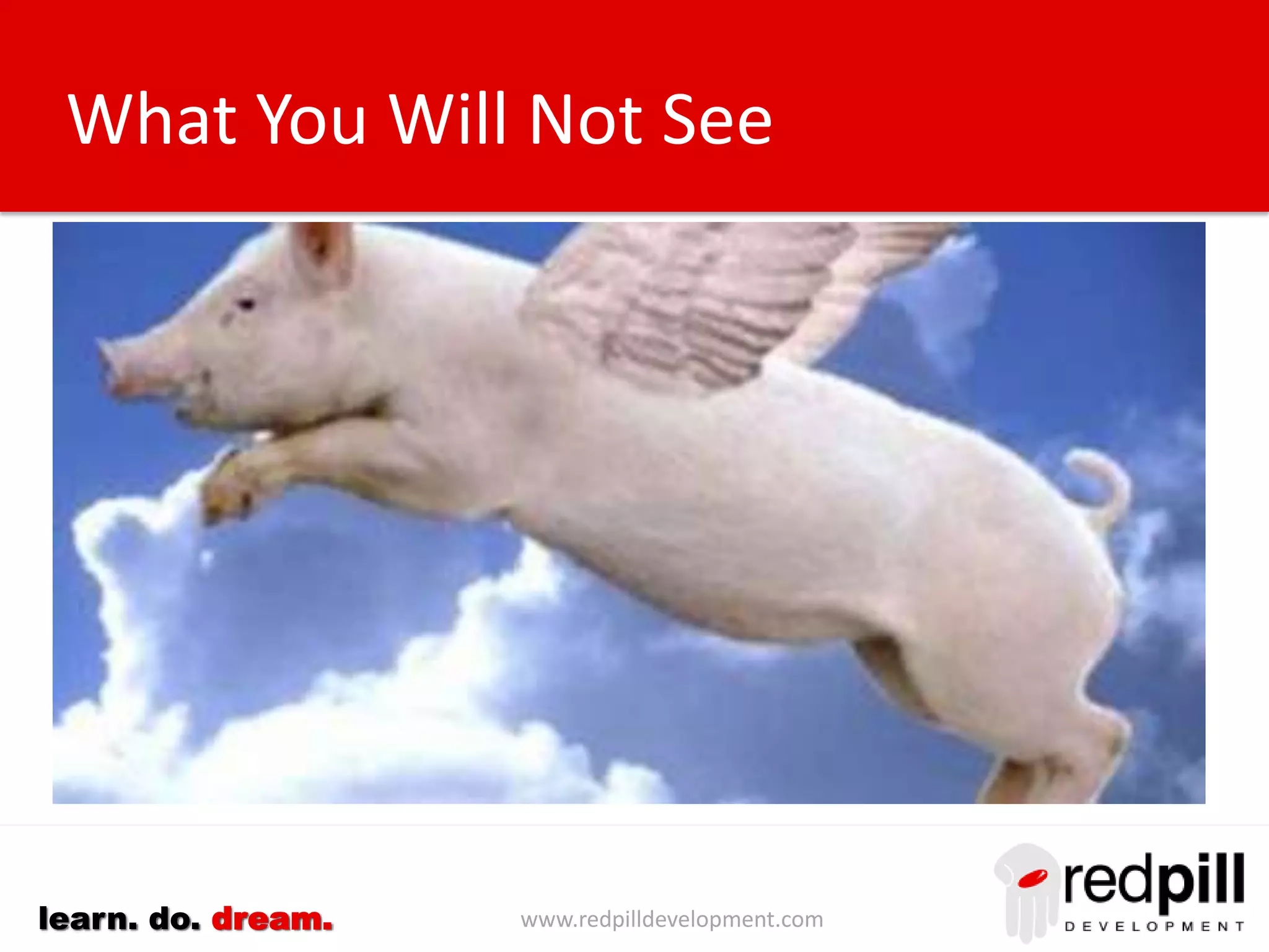 www.redpilldevelopment.comlearn. do. dream.
What You Will Not See
 