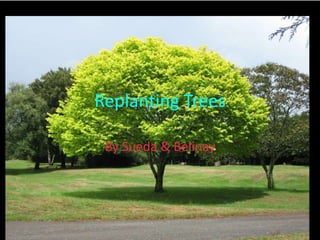 Replanting Trees
By Sueda & Belinay
 