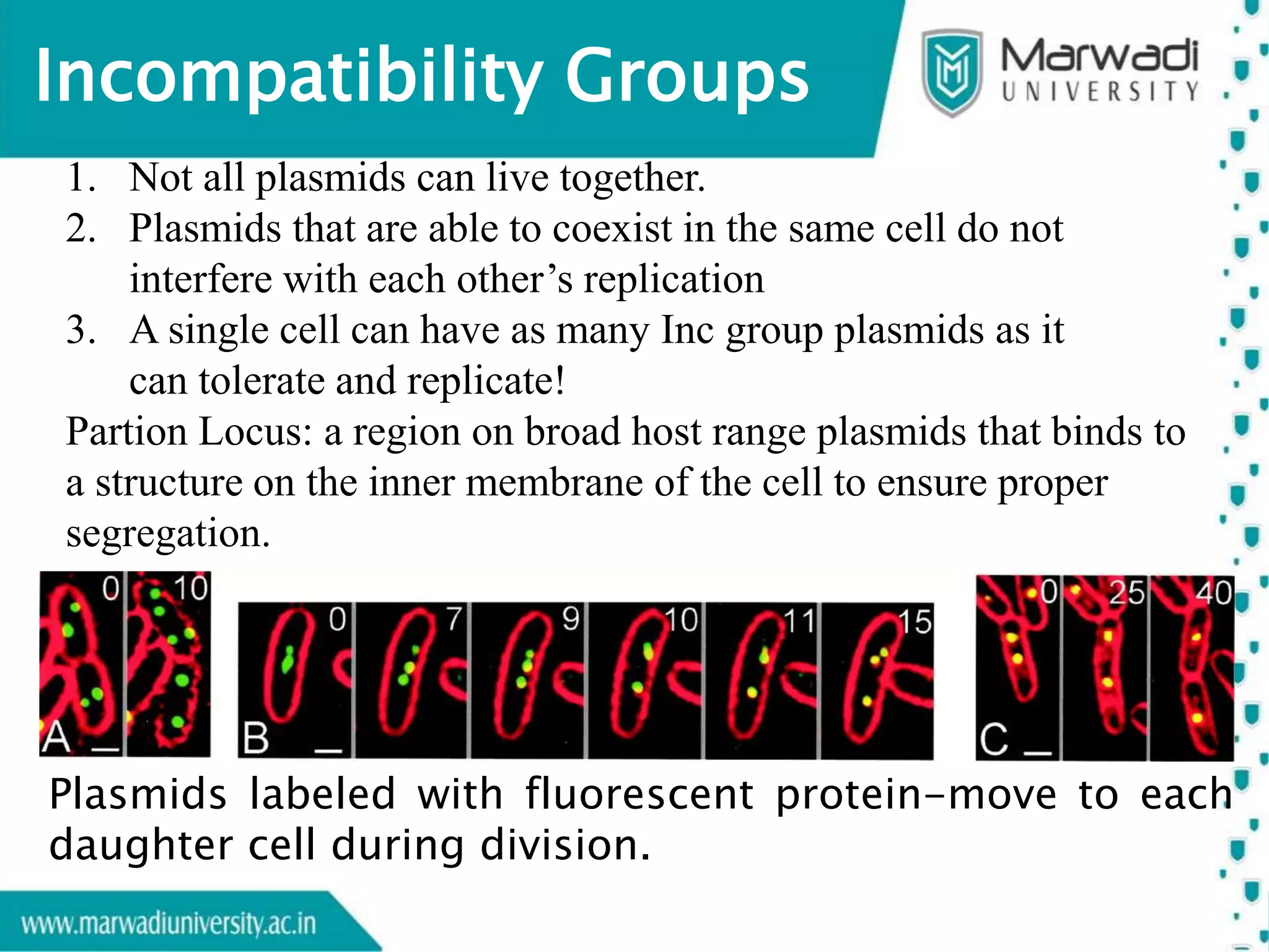Replicative mechanisms of Plasmid and Circular Genomes | PPT
