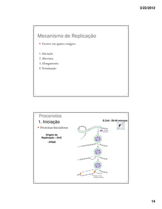 3/22/2012




Mecanismo de Replicação
  Ocorre em quatro estágios:

1. Iniciação
2. Abertura
3. Elongamento
4. Terminação




Procariotos
                               E.Coli ~20-40 minutos
1. Iniciação
 Proteinas Iniciadoras
    Origem de
 Replicação – OriC
      ~245pb




                                                             14
 