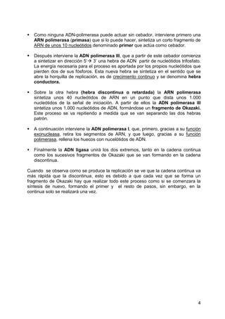    Como ninguna ADN-polimerasa puede actuar sin cebador, interviene primero una
    ARN polimerasa (primasa) que si lo puede hacer, sintetiza un corto fragmento de
    ARN de unos 10 nucleótidos denominado primer que actúa como cebador.

   Después interviene la ADN polimerasa III, que a partir de este cebador comienza
    a sintetizar en dirección 5’ 3’ una hebra de ADN partir de nucleótidos trifosfato.
    La energía necesaria para el proceso es aportada por los propios nucleótidos que
    pierden dos de sus fósforos. Esta nueva hebra se sintetiza en el sentido que se
    abre la horquilla de replicación, es de crecimiento continuo y se denomina hebra
    conductora.

   Sobre la otra hebra (hebra discontinua o retardada) la ARN polimerasa
    sintetiza unos 40 nucleótidos de ARN en un punto que dista unos 1.000
    nucleótidos de la señal de iniciación. A partir de ellos la ADN polimerasa III
    sintetiza unos 1.000 nucleótidos de ADN, formándose un fragmento de Okazaki.
    Este proceso se va repitiendo a medida que se van separando las dos hebras
    patrón.

   A continuación interviene la ADN polimerasa I, que, primero, gracias a su función
    exonucleasa, retira los segmentos de ARN, y que luego, gracias a su función
    polimerasa, rellena los huecos con nucelótidos de ADN.

   Finalmente la ADN ligasa unirá los dos extremos, tanto en la cadena continua
    como los sucesivos fragmentos de Okazaki que se van formando en la cadena
    discontinua.

Cuando se observa como se produce la replicación se ve que la cadena continua va
más rápida que la discontinua, esto es debido a que cada vez que se forma un
fragmento de Okazaki hay que realizar todo este proceso como si se comenzara la
síntesis de nuevo, formando el primer y el resto de pasos, sin embargo, en la
continua solo se realizará una vez.




                                                                                     4
 
