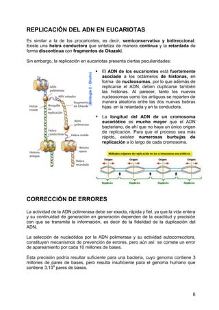 REPLICACIÓN DEL ADN EN EUCARIOTAS
Es similar a la de los procariontes, es decir, semiconservativa y bidireccional.
Existe una hebra conductora que sintetiza de manera continua y la retardada de
forma discontinua con fragmentos de Okazaki.

Sin embargo, la replicación en eucariotas presenta ciertas peculiaridades:

                                      El ADN de los eucariontes está fuertemente
                                       asociado a los octámeros de histonas, en
                                       forma de nucleosomas, por lo que además de
                                       replicarse el ADN, deben duplicarse también
                                       las histonas. Al parecer, tanto los nuevos
                                       nucleosomas como los antiguos se reparten de
                                       manera aleatoria entre las dos nuevas hebras
                                       hijas: en la retardada y en la conductora.

                                    La longitud del ADN de un cromosoma
                                       eucariótico es mucho mayor que el ADN
                                       bacteriano, de ahí que no haya un único origen
                                       de replicación. Para que el proceso sea más
                                       rápido, existen numerosas burbujas de
                                       replicación a lo largo de cada cromosoma.




CORRECCIÓN DE ERRORES

La actividad de la ADN polimerasa debe ser exacta, rápida y fiel, ya que la vida entera
y su continuidad de generación en generación dependen de la exactitud y precisión
con que se transmite la información, es decir de la fidelidad de la duplicación del
ADN.

La selección de nucleótidos por la ADN polimerasa y su actividad autocorrecctora,
constituyen mecanismos de prevención de errores, pero aún así se comete un error
de apareamiento por cada 10 millones de bases.

Esta precisión podría resultar suficiente para una bacteria, cuyo genoma contiene 3
millones de pares de bases, pero resulta insuficiente para el genoma humano que
contiene 3.109 pares de bases.




                                                                                     6
 