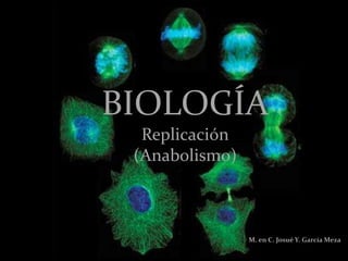 BIOLOGÍA
  Replicación
 (Anabolismo)



                M. en C. Josué Y. García Meza.
 