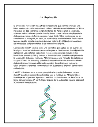 La Replicación
El proceso de replicación de ADN es el mecanismo que permite sintetizar una
copia idéntica. se produce de acuerdo con un mecanismo semiconservador, lo que
indica que los dos polímeros complementarias del ADN original, al separarse,
sirven de molde cada una para la síntesis de una nueva cadena complementaria
de la cadena molde, de forma que cada nueva doble hélice contiene una de las
cadenas del ADN original, es decir, La doble hélice es desenrollada y cada hebra
hace de plantilla para la síntesis de la nueva cadena. El ADN polimerasa añade
los nucleótidos complementarios a los de la cadena original.
La molécula de ADN se abre como una cremallera por ruptura de los puentes de
hidrógeno entre las bases complementarias puntos determinados: los orígenes de
replicación. Las proteínas iniciadoras reconocen secuencias de nucleótidos
específicas en esos puntos y facilitan la fijación de otras proteínas que permitirán
la separación de las dos hebras de ADN formándose una horquilla de replicación.
Un gran número de enzimas y proteínas intervienen en el mecanismo molecular
de la replicación, formando el llamado complejo de replicación o replisoma.
Estas proteínas y enzimas son homólogas en eucariotas y arqueas, pero difieren
en bacterias.
La ADN polimerasa: es la enzima que cataliza la síntesis de la nueva cadena
de ADN a partir de desoxirribonucleótidos y de la molécula de ADN plantilla o
molde que es la que será replicada. La enzima copia la cadena de nucleótidos de
forma complementaria (A por T, C por G) para dar a cada célula hija una copia del
ADN durante la replicación.
 