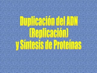 Duplicación del ADN  (Replicación) y Síntesis de Proteínas 