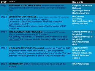 STEP EVENTS Key words
Step1 BREAKING HYDROGEN BONDS between bases of the two
antiparallel strands with Helicase Enzyme forming the Replication
Fork
Origin of replication
Helicase
Hyodrogen bonds
Replication Fork
Step2 BINDING OF DNA PRIMASE in the the initiation point of the 3'-5' parent chain
One in leading strand, many in lagging
DNA Primase attract RNA nucleotides which bind to the DNA
nucleotides of the 3'-5‘
RNA nucleotides are the primers (starters) for the binding of DNA
nucleotides
DNA Primase
3'-5' strand
RNA nucelotides=RNA
primers (starters)
Step3 THE ELONGATION PROCESS ( Leading strand 5'-3' template
different process thanLagging strand 3'-5' template)
A)Leading Strand (5'-3' Template) DNA Polymerase delta
can "read" the template and continuously adds nucleotides
Leading strand (5'-3'
template)
Lagging strand (3'-5'
template)
DNA Polymerase
delta
Step3 B)Lagging Strand (3'-5'Template): cannot be "read" by DNA
Polymerase delta more RNA Primers. DNA polymerase
epsilon reads the template and lengthens the bursts. The gap
between two RNA primers is called "Okazaki Fragments"
Lagging strand
RNA primers
Okazaki Fragments
DNA Polymerase
epsilon
Step4 TERMINATION DNA Polymerase reaches to an end of the
strands
DNA Polymerase
 