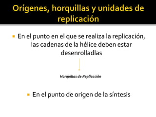    En el punto en el que se realiza la replicación,
         las cadenas de la hélice deben estar
                   desenrolladlas


                     Horquillas de Replicación



          En el punto de origen de la síntesis
 
