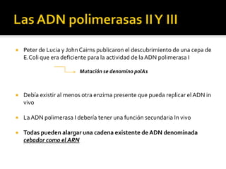    Peter de Lucia y John Cairns publicaron el descubrimiento de una cepa de
    E.Coli que era deficiente para la actividad de la ADN polimerasa I

                         Mutación se denomino polA1



   Debía existir al menos otra enzima presente que pueda replicar el ADN in
    vivo

   La ADN polimerasa I debería tener una función secundaria In vivo

   Todas pueden alargar una cadena existente de ADN denominada
    cebador como el ARN
 
