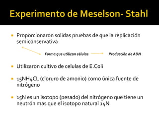    Proporcionaron solidas pruebas de que la replicación
    semiconservativa

                Forma que utilizan células    Producción de ADN


   Utilizaron cultivo de celulas de E.Coli

   15NH4CL (cloruro de amonio) como única fuente de
    nitrógeno

   15N es un isotopo (pesado) del nitrógeno que tiene un
    neutrón mas que el isotopo natural 14N
 