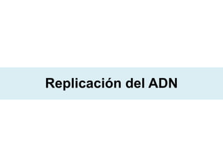 Replicación del ADN

 