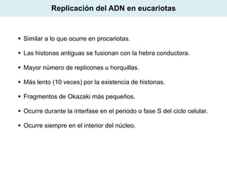 Replicación del ADN en eucariotas

 Similar a lo que ocurre en procariotas.
 Las histonas antiguas se fusionan con la hebra conductora.
 Mayor número de replicones u horquillas.
 Más lento (10 veces) por la existencia de histonas.
 Fragmentos de Okazaki más pequeños.
 Ocurre durante la interfase en el periodo o fase S del ciclo celular.
 Ocurre siempre en el interior del núcleo.

 