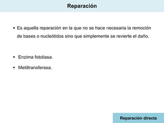Reparación

 Es aquella reparación en la que no se hace necesaria la remoción
de bases o nucleótidos sino que simplemente se revierte el daño.

 Enzima fotoliasa.
 Metiltransferasa.

Reparación directa

 