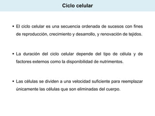 Ciclo celular

 El ciclo celular es una secuencia ordenada de sucesos con fines
de reproducción, crecimiento y desarrollo, y renovación de tejidos.

 La duración del ciclo celular depende del tipo de célula y de
factores externos como la disponibilidad de nutrimentos.

 Las células se dividen a una velocidad suficiente para reemplazar
únicamente las células que son eliminadas del cuerpo.

 