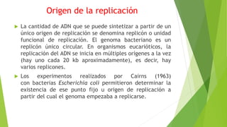Origen de la replicación
 La cantidad de ADN que se puede sintetizar a partir de un
único origen de replicación se denomina replicón o unidad
funcional de replicación. El genoma bacteriano es un
replicón único circular. En organismos eucarióticos, la
replicación del ADN se inicia en múltiples orígenes a la vez
(hay uno cada 20 kb aproximadamente), es decir, hay
varios replicones.
 Los experimentos realizados por Cairns (1963)
con bacterias Escherichia coli permitieron determinar la
existencia de ese punto fijo u origen de replicación a
partir del cual el genoma empezaba a replicarse.
 