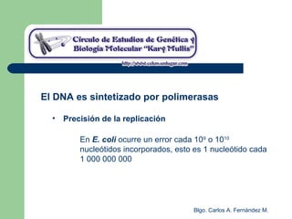 Blgo. Carlos A. Fernández M.
El DNA es sintetizado por polimerasas
• Precisión de la replicación
En E. coli ocurre un error cada 109
o 1010
nucleótidos incorporados, esto es 1 nucleótido cada
1 000 000 000
 
