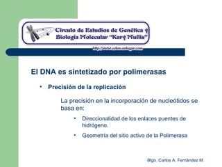 Blgo. Carlos A. Fernández M.
El DNA es sintetizado por polimerasas
• Precisión de la replicación
La precisión en la incorporación de nucleótidos se
basa en:
• Direccionalidad de los enlaces puentes de
hidrógeno.
• Geometría del sitio activo de la Polimerasa
 