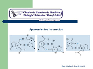 Blgo. Carlos A. Fernández M.
Apareamientos incorrectos
 