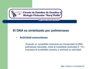 Blgo. Carlos A. Fernández M.
El DNA es sintetizado por polimerasas
• Actividad exonucleasa
•Cuando un nucleótido incorrecto es incorporado la DNA
polimerasa retrocede, corta el nucleótido (actividad 3’ 5’),
incorpora el nucleótido correcto y continúa su actividad.
 