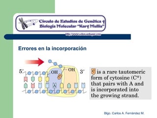 Blgo. Carlos A. Fernández M.
Errores en la incorporación
 