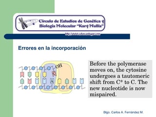 Blgo. Carlos A. Fernández M.
Errores en la incorporación
 