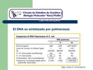 Blgo. Carlos A. Fernández M.
El DNA es sintetizado por polimerasas
 