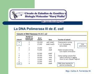 Blgo. Carlos A. Fernández M.
La DNA Polimerasa III de E. coli
 