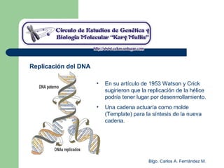 Blgo. Carlos A. Fernández M.
Replicación del DNA
• En su artículo de 1953 Watson y Crick
sugirieron que la replicación de la hélice
podría tener lugar por desenrrollamiento.
• Una cadena actuaría como molde
(Template) para la síntesis de la nueva
cadena.
 