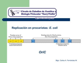 Blgo. Carlos A. Fernández M.
Replicación en procariotas: E. coli
OriC
 