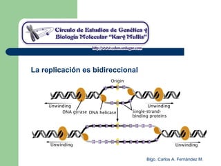 Blgo. Carlos A. Fernández M.
La replicación es bidireccional
 