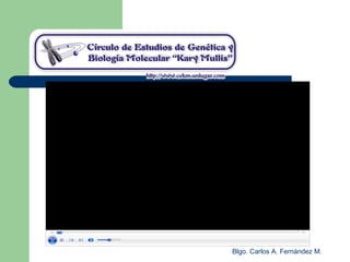 Blgo. Carlos A. Fernández M.
 