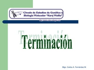 Blgo. Carlos A. Fernández M.
 