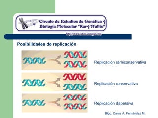 Blgo. Carlos A. Fernández M.
Posibilidades de replicación
Replicación conservativa
Replicación dispersiva
Replicación semiconservativa
 