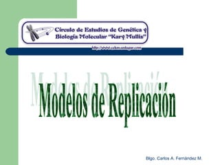 Blgo. Carlos A. Fernández M.
 