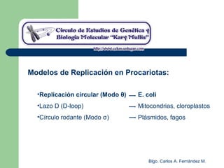 Blgo. Carlos A. Fernández M.
•Replicación circular (Modo θ) E. coli
•Lazo D (D-loop) Mitocondrias, cloroplastos
•Círculo rodante (Modo σ) Plásmidos, fagos
Modelos de Replicación en Procariotas:
 