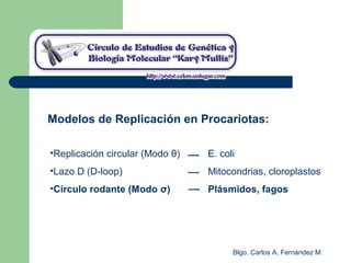 Blgo. Carlos A. Fernández M.
•Replicación circular (Modo θ) E. coli
•Lazo D (D-loop) Mitocondrias, cloroplastos
•Círculo rodante (Modo σ) Plásmidos, fagos
Modelos de Replicación en Procariotas:
 