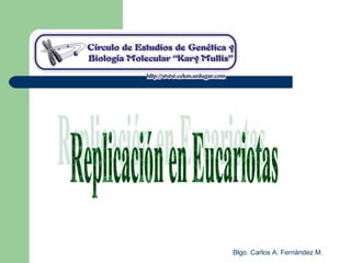 Blgo. Carlos A. Fernández M.
 