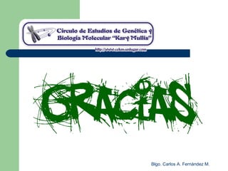 Blgo. Carlos A. Fernández M.
 