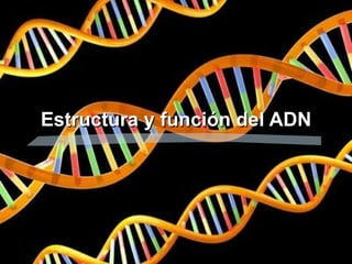 Estructura y función del ADN
 