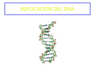 REPLICACIÓN DEL DNA 