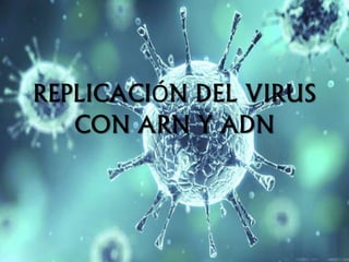 REPLICACIÓN DEL VIRUS
CON ARN Y ADN
 