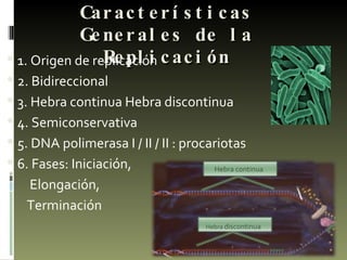 Características Generales de la Replicación 1. Origen de replicación 2. Bidireccional 3. Hebra continua Hebra discontinua 4. Semiconservativa 5. DNA polimerasa I / II / II : procariotas 6. Fases: Iniciación, Elongación,  Terminación Hebra continua Hebra  discontinua 