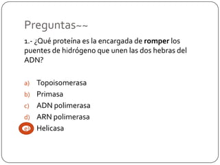Se sintetiza una cadena de ARNm en dirección 5’-3’