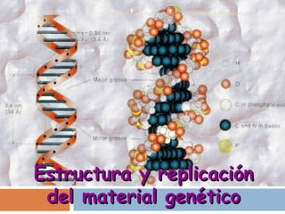 Tema 6: Estructura y replicación del material genético
Estructura y replicaciónEstructura y replicación
del material genéticodel material genético
 