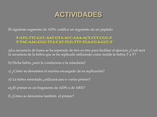 El siguiente segmento de ADN codifica un segmento de un péptido:
5'-ATG-TTC-GCC-AAT-GTA-ACC-AAA-ACT-CCT-CGG-3'
3'-TAC-AAG-CGG-TTA-CAT-TGG-TTT-TGA-GGA-GCC-5'
a)La secuencia de bases se ha separado de tres en tres para facilitar el ejercicio ¿Cuál será
la secuencia de la hebra que se ha replicado utilizando como molde la hebra 3' a 5'?
b) Dicha hebra ¿será la conductora o la retardada?
c) ¿Cómo se denomina el enzima encargado de su replicación?
d) La hebra retardada ¿utilizará uno o varios primer?
e)¿El primer es un fragmento de ADN o de ARN?
f) ¿Cómo se denomina también el primer?
 