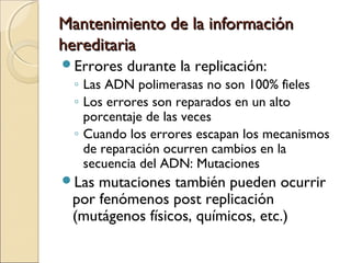 Mantenimiento de la informaciónMantenimiento de la información
hereditariahereditaria
Errores durante la replicación:
◦ Las ADN polimerasas no son 100% fieles
◦ Los errores son reparados en un alto
porcentaje de las veces
◦ Cuando los errores escapan los mecanismos
de reparación ocurren cambios en la
secuencia del ADN: Mutaciones
Las mutaciones también pueden ocurrir
por fenómenos post replicación
(mutágenos físicos, químicos, etc.)
 
