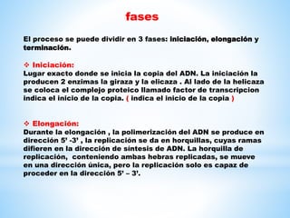 El proceso se puede dividir en 3 fases: iniciación, elongación y
terminación.
 Iniciación:
Lugar exacto donde se inicia la copia del ADN. La iniciación la
producen 2 enzimas la giraza y la elicaza . Al lado de la helicaza
se coloca el complejo proteico llamado factor de transcripcion
indica el inicio de la copia. ( indica el inicio de la copia )
 Elongación:
Durante la elongación , la polimerización del ADN se produce en
dirección 5’ -3’ , la replicación se da en horquillas, cuyas ramas
difieren en la dirección de síntesis de ADN. La horquilla de
replicación, conteniendo ambas hebras replicadas, se mueve
en una dirección única, pero la replicación solo es capaz de
proceder en la dirección 5’ – 3’.
fases
 