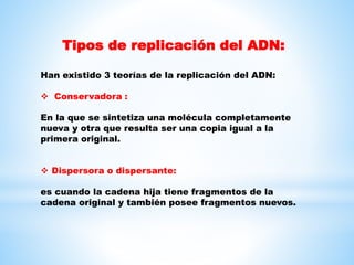 Tipos de replicación del ADN:
Han existido 3 teorías de la replicación del ADN:
 Conservadora :
En la que se sintetiza una molécula completamente
nueva y otra que resulta ser una copia igual a la
primera original.
 Dispersora o dispersante:
es cuando la cadena hija tiene fragmentos de la
cadena original y también posee fragmentos nuevos.
 