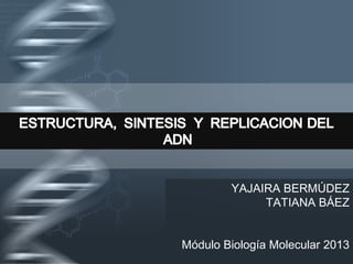 Your Logo
YAJAIRA BERMÚDEZ
TATIANA BÁEZ
Módulo Biología Molecular 2013
 