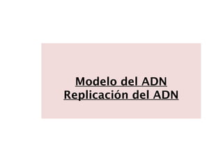 Modelo del ADN
Replicación del ADN
 